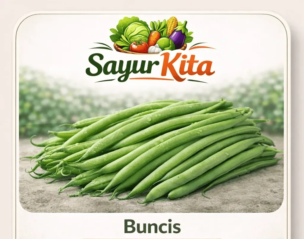 Buncis