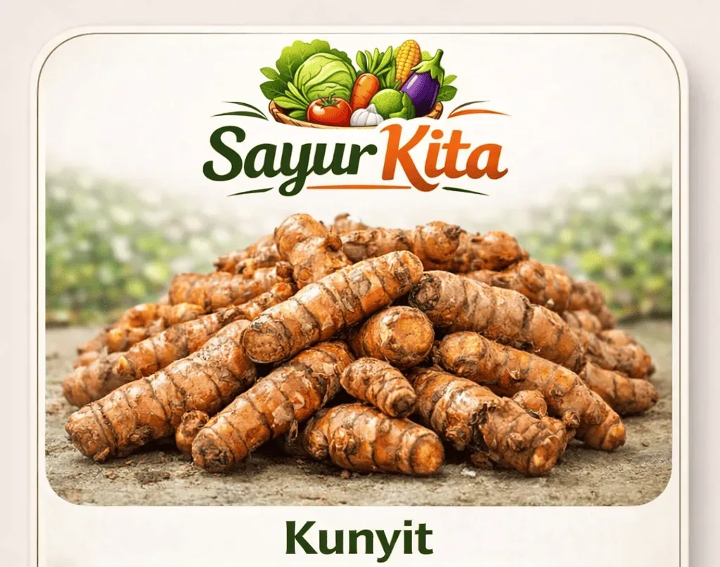 Kunyit
