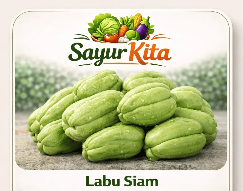 Labu Siam