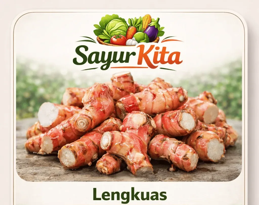 Lengkuas