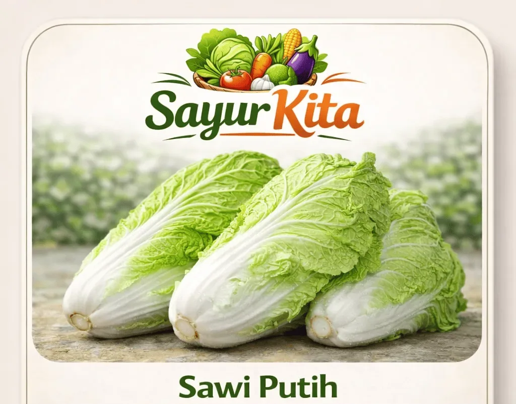 Sawi Putih