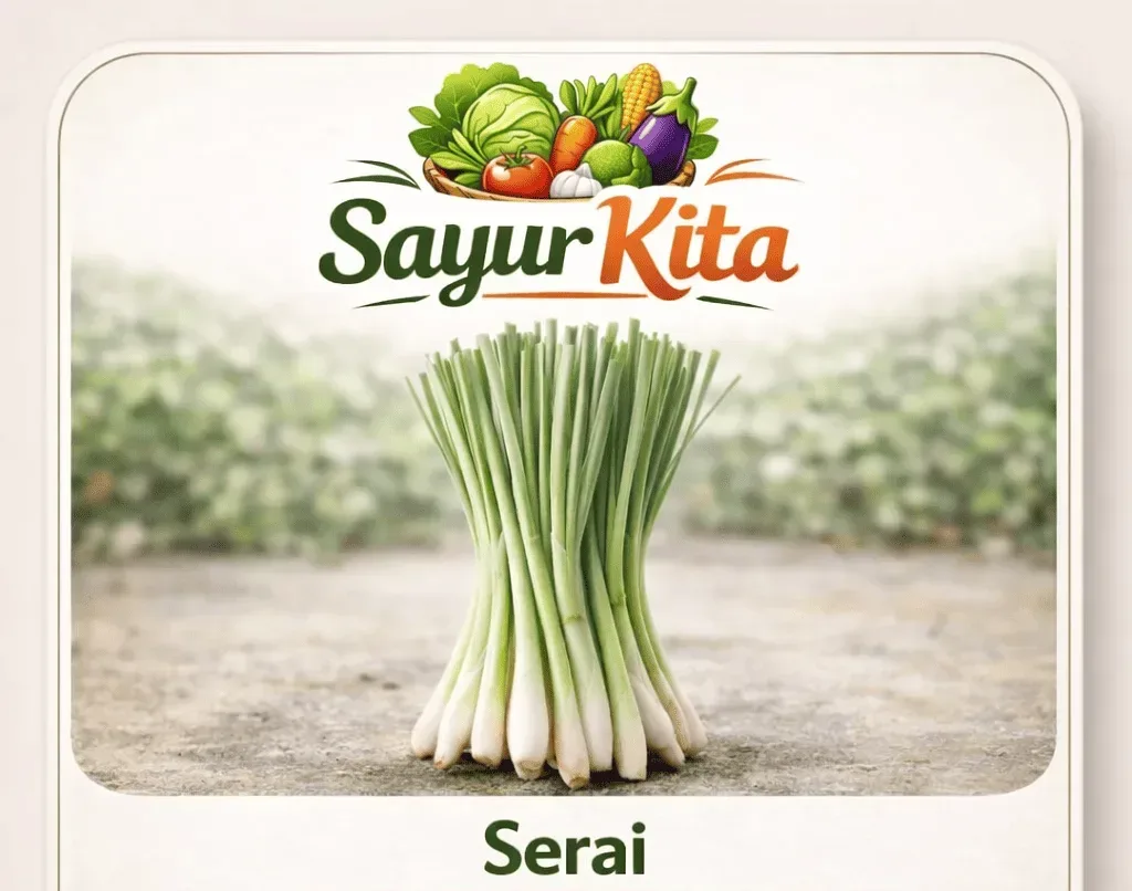 Serai