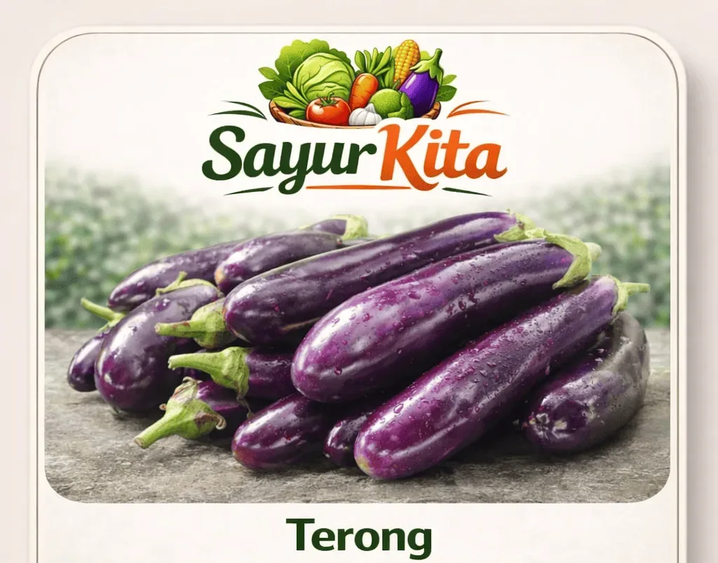 Terong